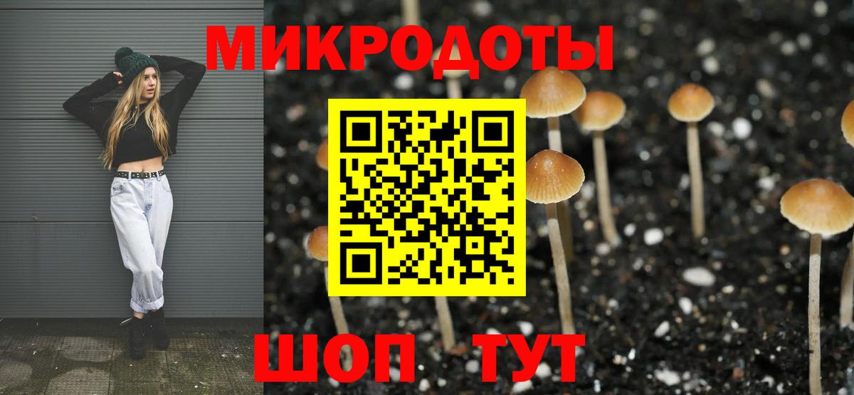 Печора  Галлюциногенные грибы Cubensis  где продают наркотики  Галлюциногенные грибы Cubensis  Вход с VPN 